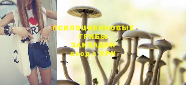 индика Горно-Алтайск